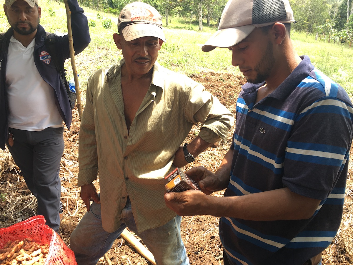 Doselva farmer looking at the Gaia Turmeric Supreme capsules made with turmeric he supplied.