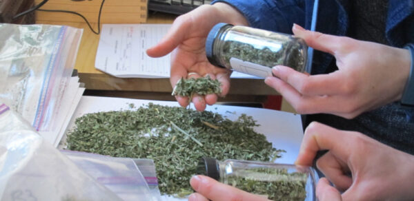  testing herbs