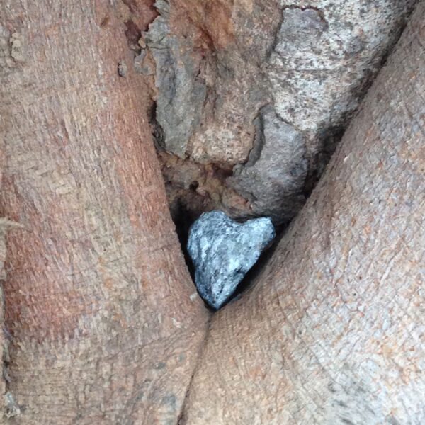 Heart rock in Coimbatore