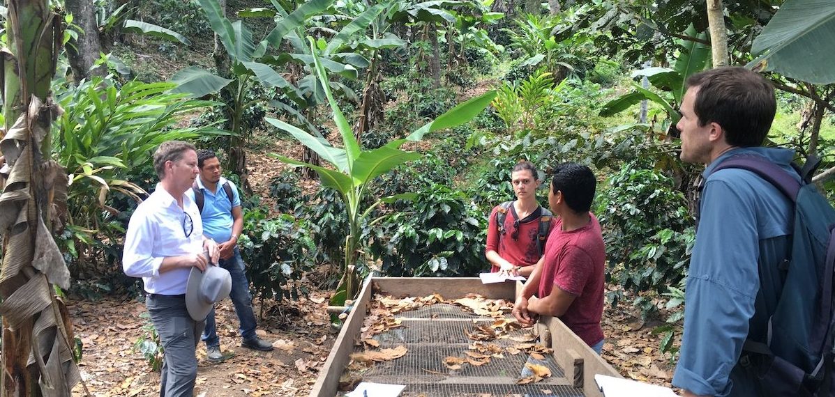 Doselva and Gaia Herbs Partnership