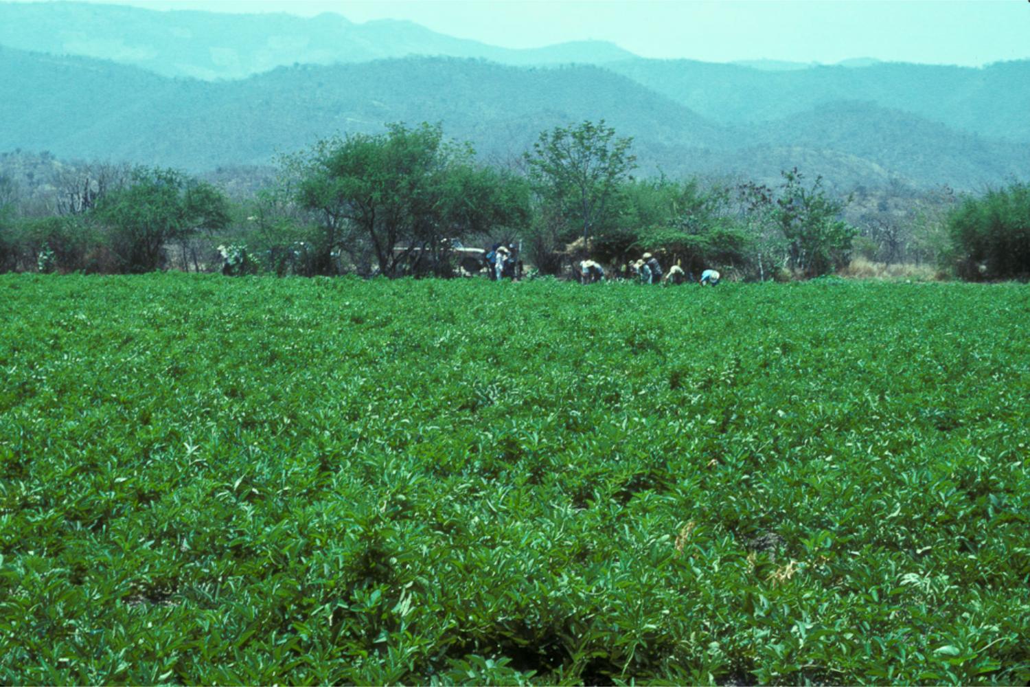 Responsible Sourcing