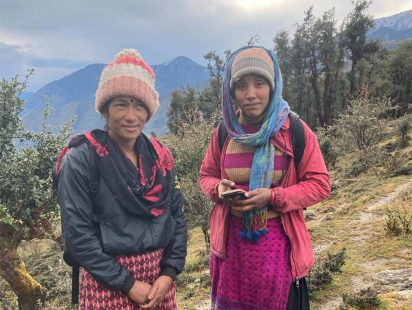 Wild harvesting jatamansi, Nepal