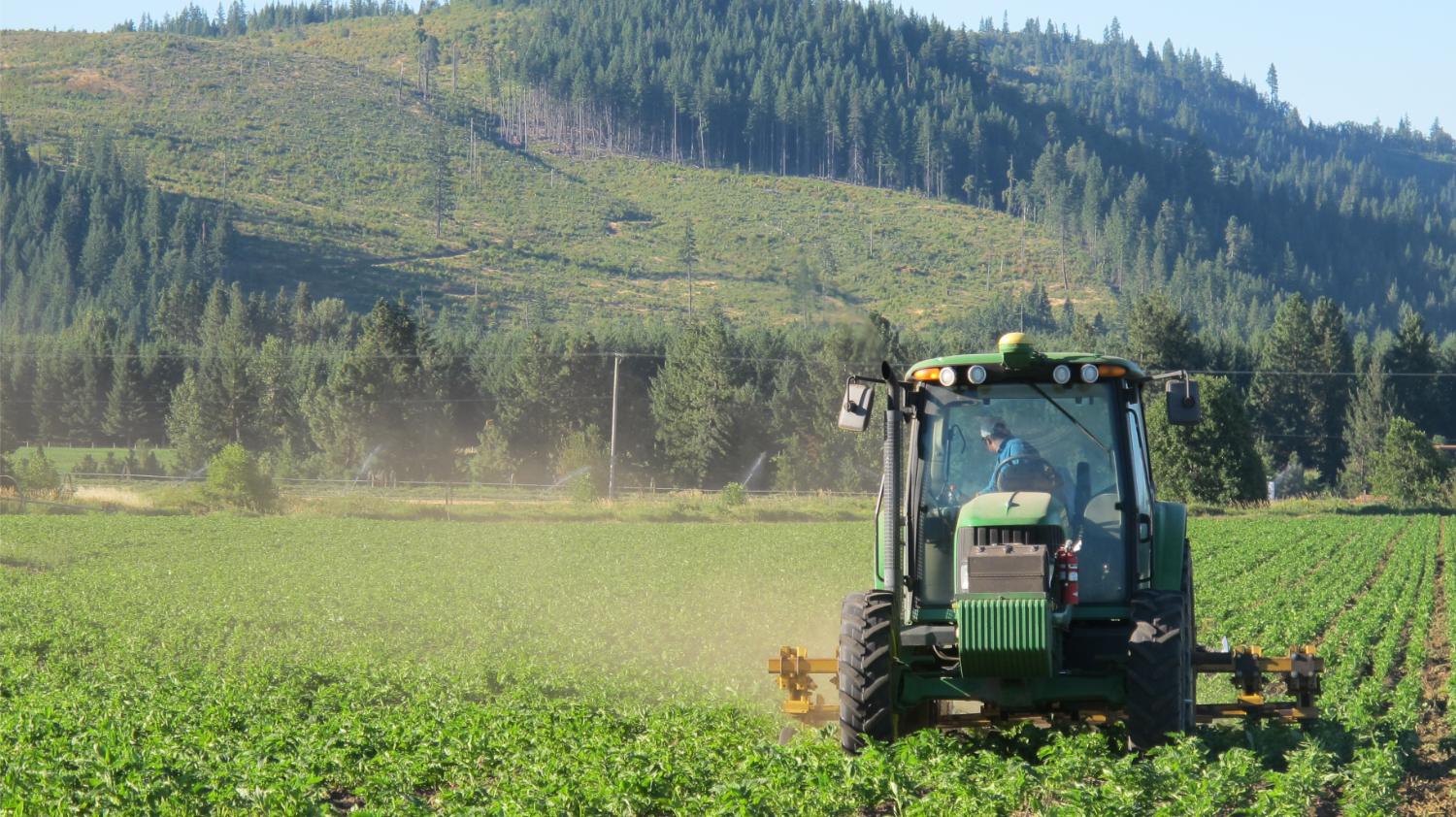 Tractor at Trout Lake Farm: Growers