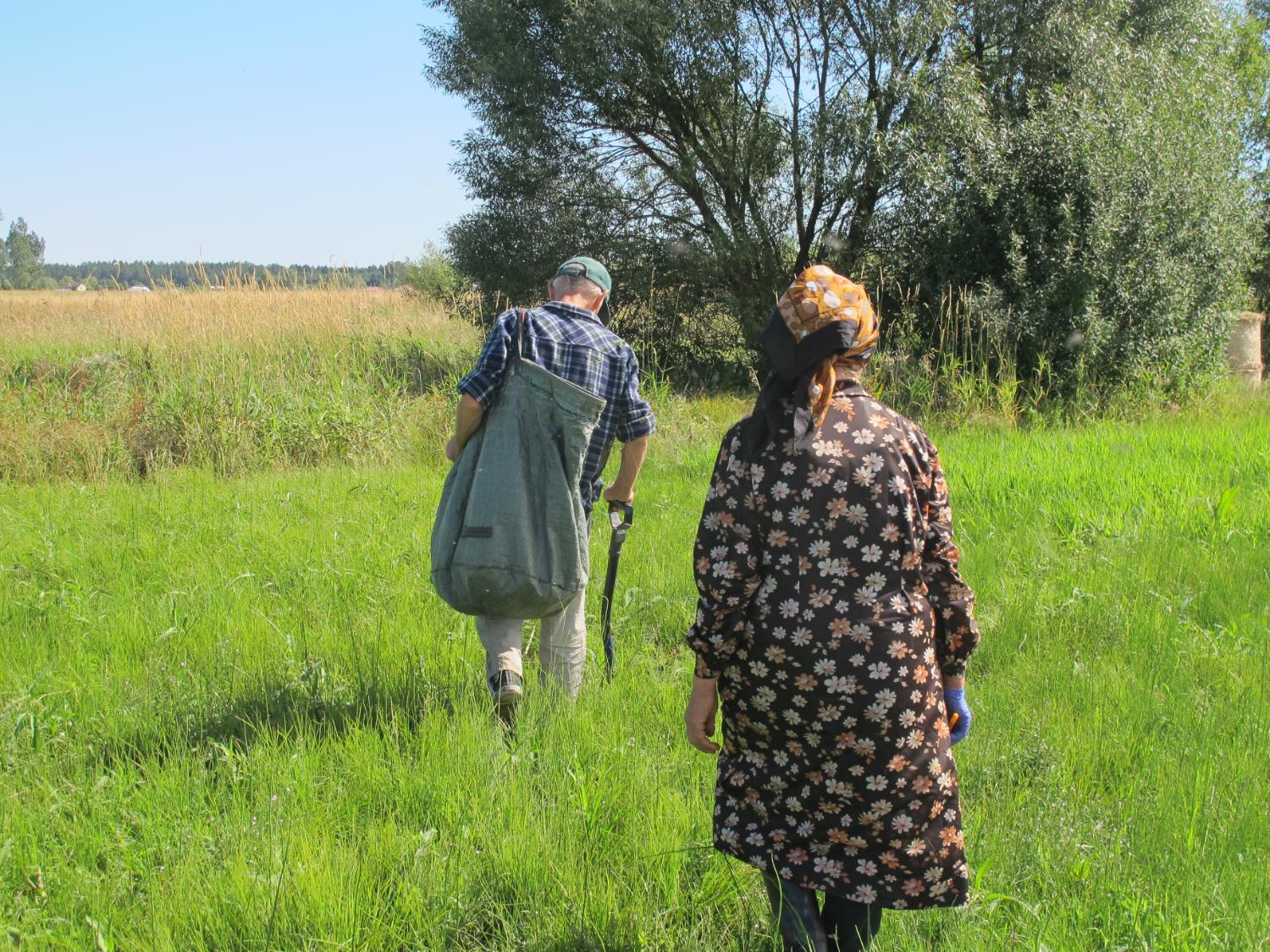 wild harvesting in Poland