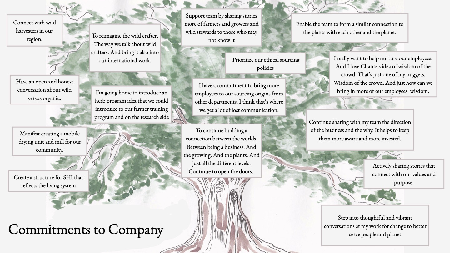 Commitments from the SHI Oregon Learning Journey. Tree designed by Willow Murton