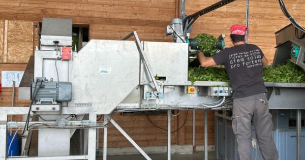 Primary Processing learning lab, L'herbier