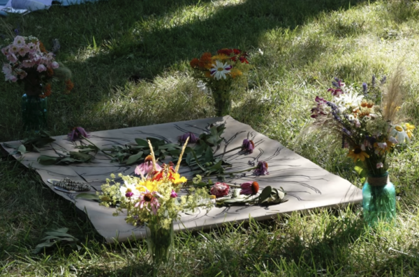 Values of Sustainable Herbs Initiative