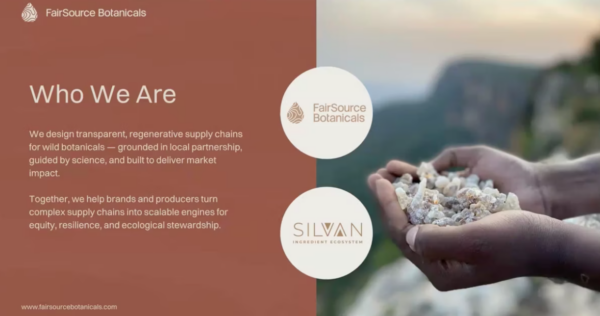 Stephen Johnson from Fair Source Botanicals and Andy Thorton from Sylvan Ingredients gave a fascinating presentation on their work with the frankincense and myrrh sourcing networks