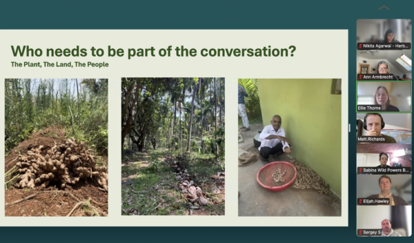 Screenshot from SHI Primary Processing Learning Lab on Partnership