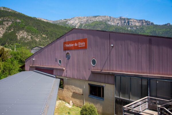 Seeing double at l'Herbier du Diois, SHI LEarning Journey