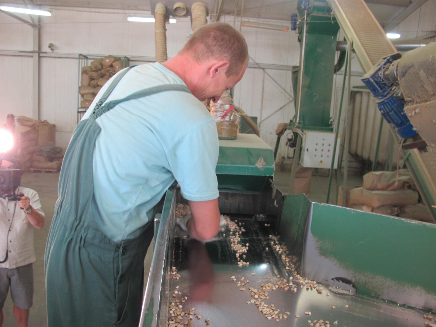 Processing at Runo