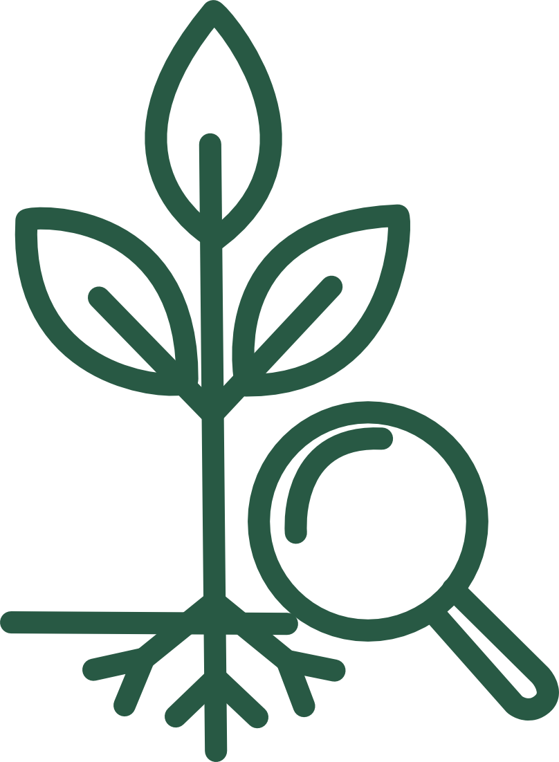 PDF vector 1
